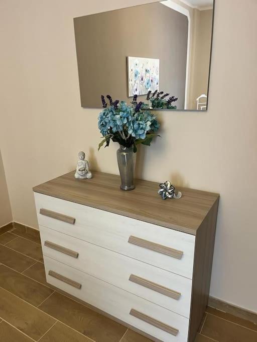 Attico Briccarello -Intero Appartamento- Elegant Suite With Free Wifi Near Inalpi Arena And Sporting Club Torino-Olimpyc Stadium 外观 照片